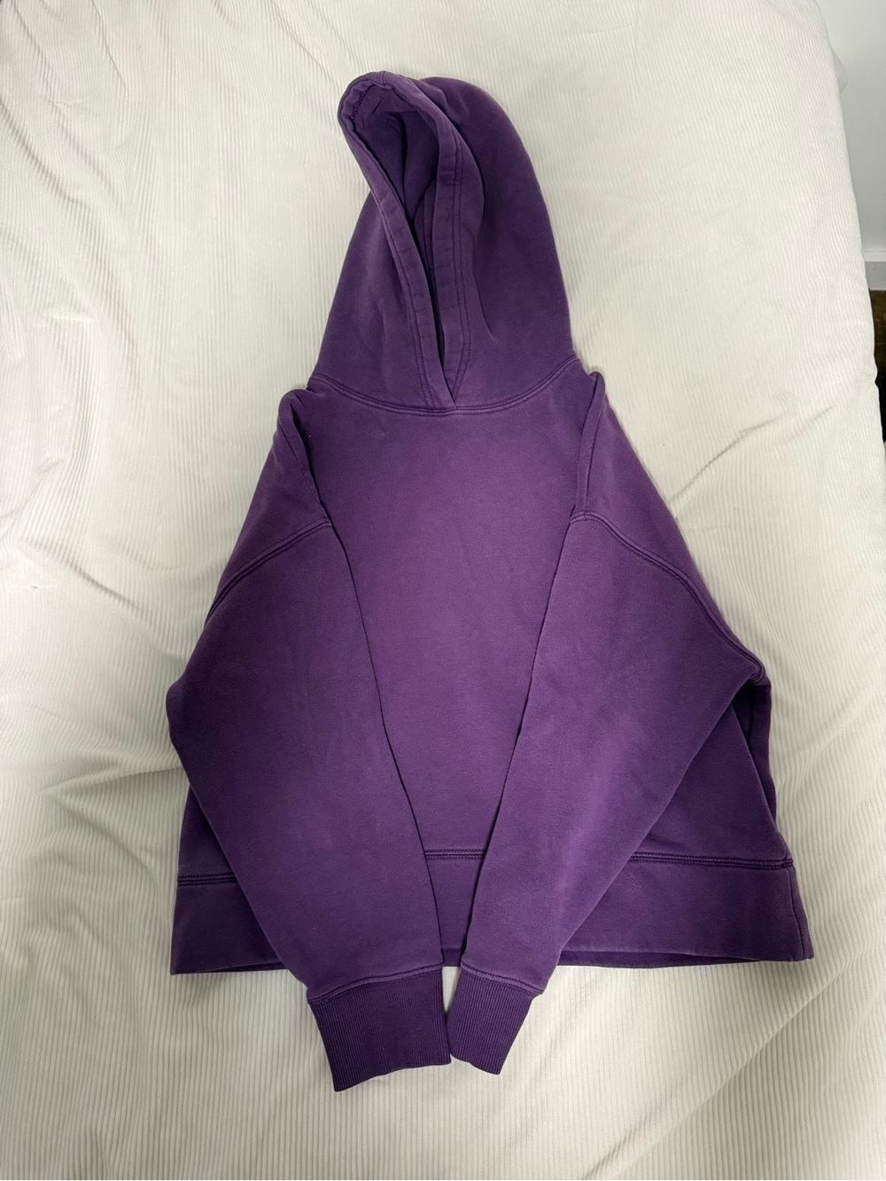 Zara Plum Purple Cropped Hoodie